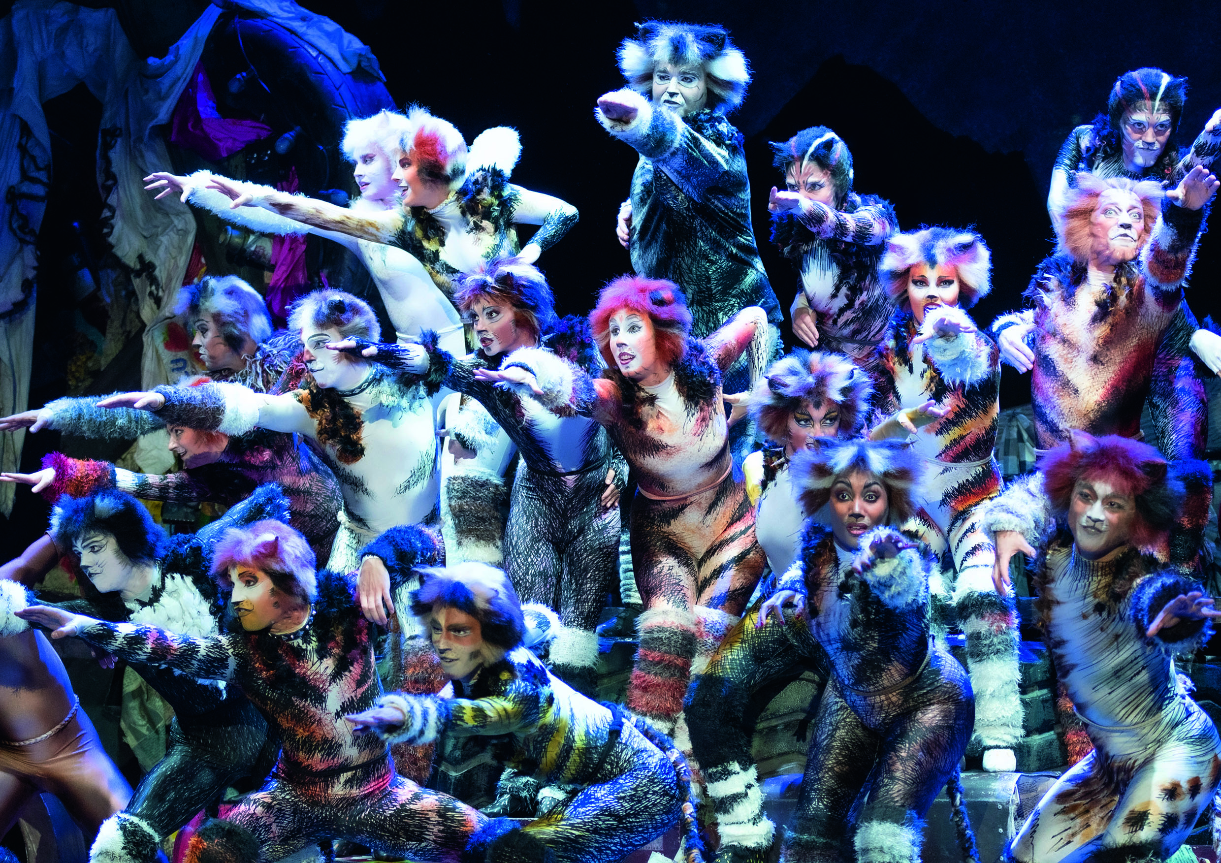 Cats Im Ronacher Am 11 September 2021 Geht Es In Wien Wieder Los Wir Musical Fans Cats Im Ronacher Am 11 September 2021 Geht Es In Wien Wieder Los Wir Musical Fans