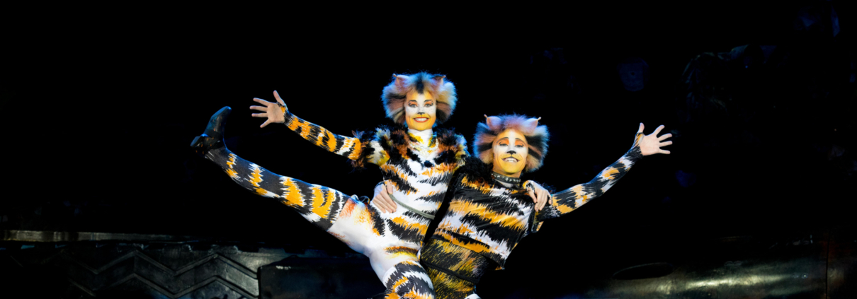 CATS - Credits: Alessandro Pinna