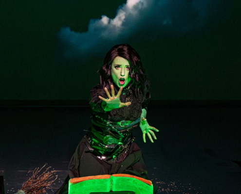 Bühne Baden - WICKED - Credits: Lalo Jodlbauer
